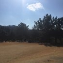 부산칸트리클럽 이미지