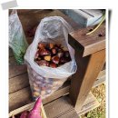 이안농장 이미지