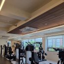 블랙맘바짐 이미지