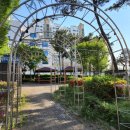 쌍촌동 오월어린이 공원 이미지