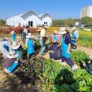 공세농장 이미지