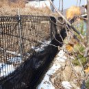 새봄펜션 이미지