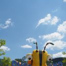 정선골민박캠핑장 이미지