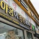 야옹아 멍멍해봐 이미지