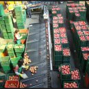 안동청과 이미지