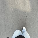 화레무 가산점 | 230629. 주간일기챌린지 55