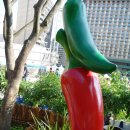 서울영양 이미지