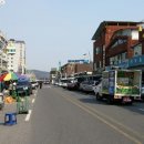 인준인삼사