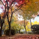 건영호박공인중개사사무소 | 1기신도시 통합재건축단지 반달마을 반달동아 1810동 9층 계단구조 매매