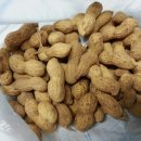 배영농장 이미지