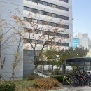 컴포즈커피 부천여월중앙점 | 뒤늦은 이든채 후기!