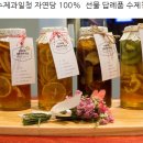 샌치한 언니 이미지