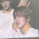 일하는개미
