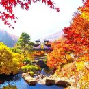 화담숲은 11월25경이 단풍절정 이미지