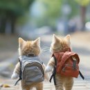 카카오 N 동물병원 이미지