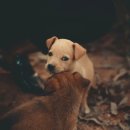 햇살동물병원 이미지