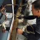 마이마이당구장 이미지