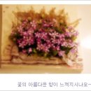 탑 웰빙하우스 이미지