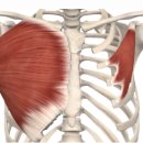 와이투짐 원흥역점 이미지