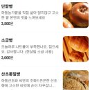 경서대로 | 🧸하동 빵지순례 빵맛집 - 반달곰상회 내돈내산 후기🍞