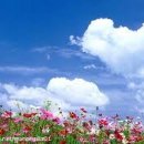 푸르른날 이미지