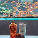 일산초등학교 | 일산 대형카페 세계 최대 1000평 규모 수족관카페 아쿠아가든 일산