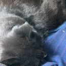 [419연극제] 극단 하땅세 <시간을 칠하는 사람> | [연극] 극단 하땅세 후기