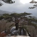 상고암 - 1603 | 상고암