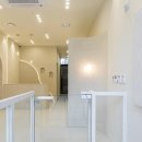 디어,도트 이미지