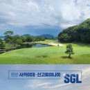 골드 아케이트 이미지