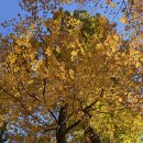 내 영혼, 그 작은 교회에서 이미지