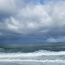 바다 그리고 이미지