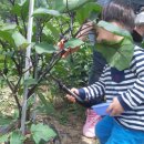 가은농장 이미지