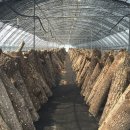 삼산두륜생태 영농조합법인 이미지