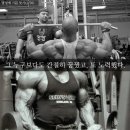 바디쉐프 이미지