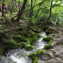 태백콜택시 이미지