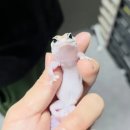 4공단로-28 이미지