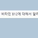 B12-1 이미지
