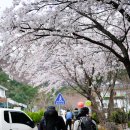 뜻밖의 하루 이미지