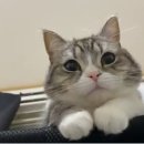 늦잠 이미지