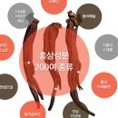 농업회사법인(주)한국인삼 이미지