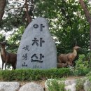 아차산파전 이미지