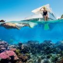 위트선데이 이미지