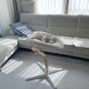 내츄럴휴 - 안산시 단원구 보배4길 36 | 스토케 노미 뉴본 신생아세트 내츄럴 화이트 후기