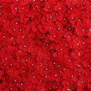 뮤플라워 이미지