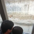 가가동물원 이미지