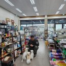 삼육상사 이미지