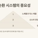 바른체형 작은얼굴 이미지