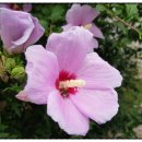 무궁화공업사 이미지