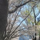 김포농협 하나로마트 이미지